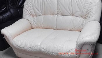 Двухместный кожаный диван