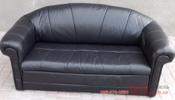 Кожаный раскладной двухместный диван