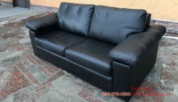 Двухместный раскладной кожаный диван