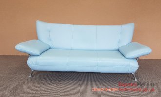 Кожаный двухместный диван