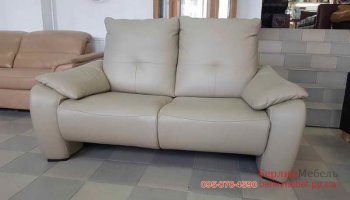 Двухместнй кожаный диван